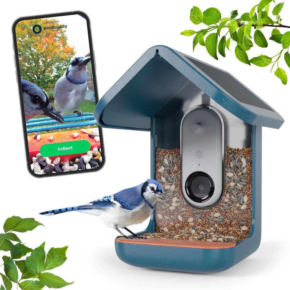 solar bird feeder