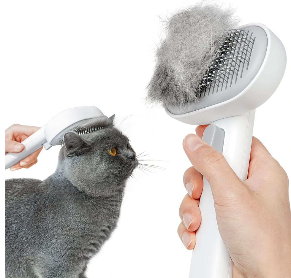 Cat Brush