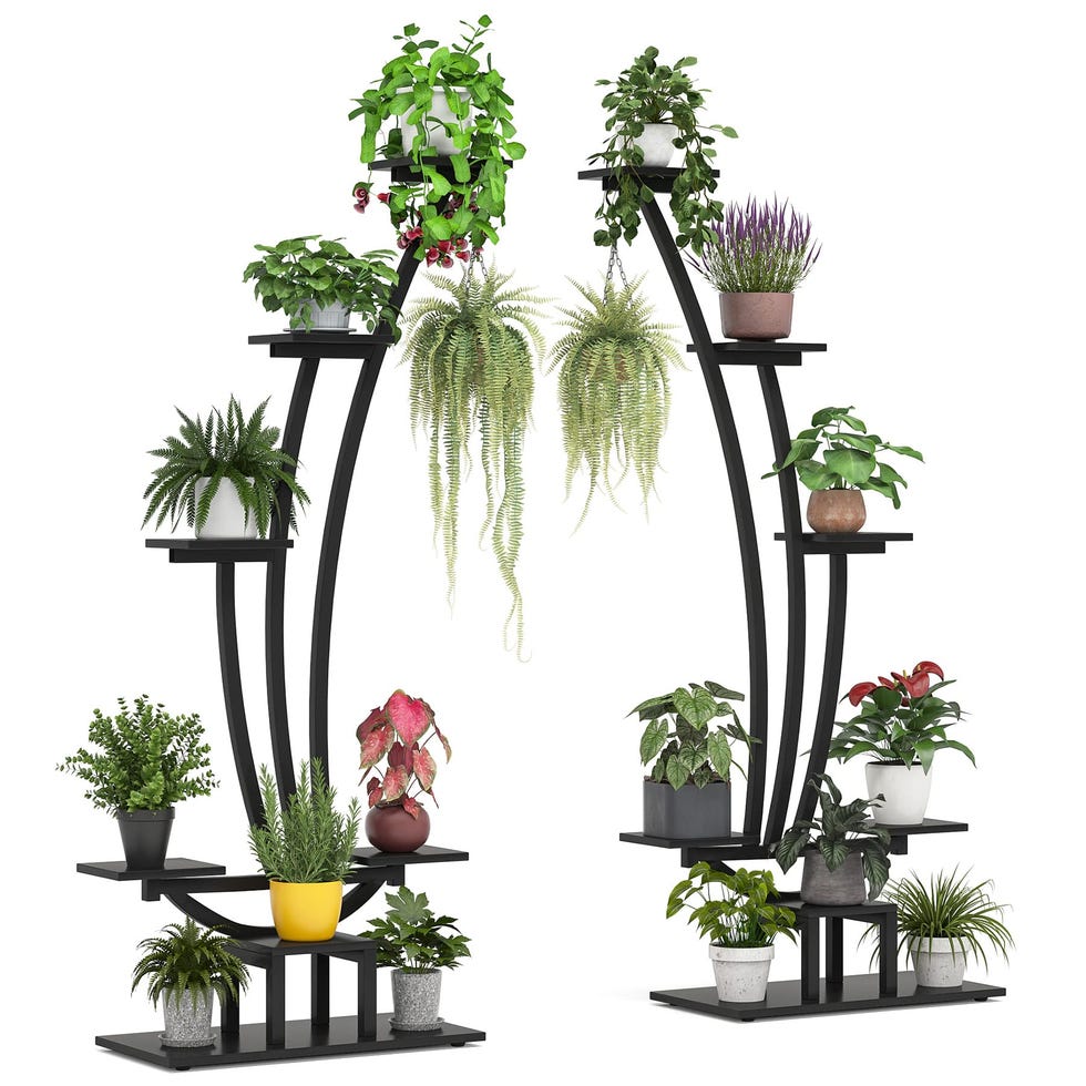 Indoor Plant Stand 