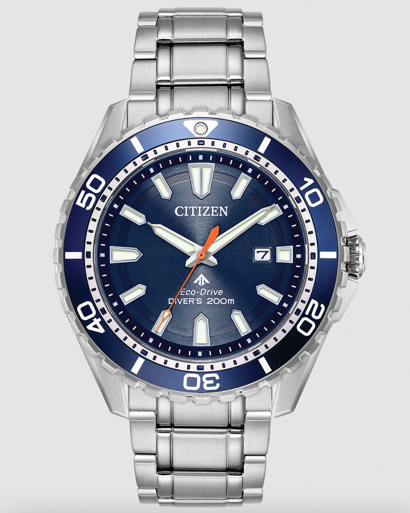 Promaster Diver