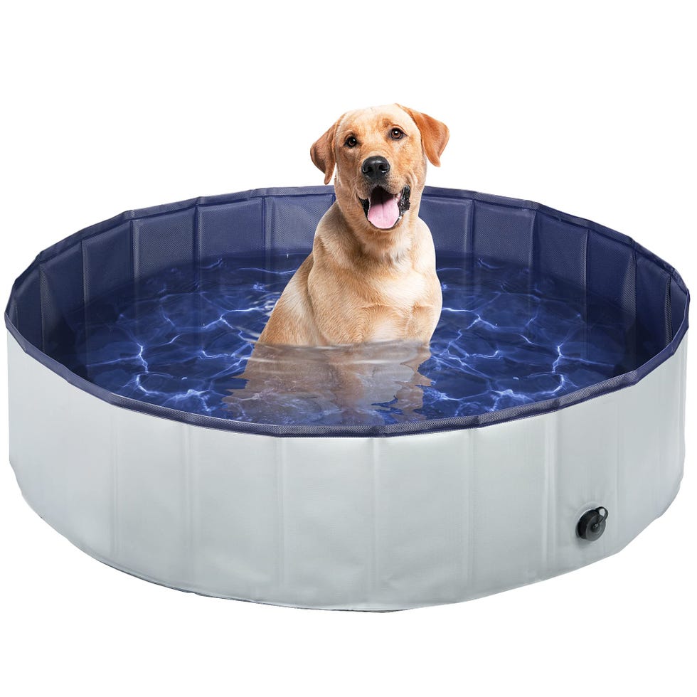 Dog Paddling Pool