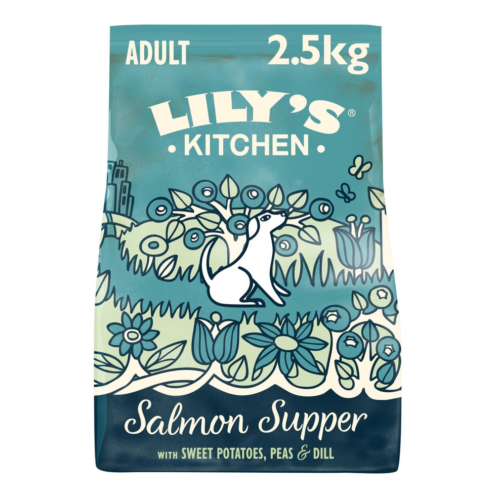 Lily's Kitchen dry dog food (2.5kg bag, 'Salmon Supper' flavour)