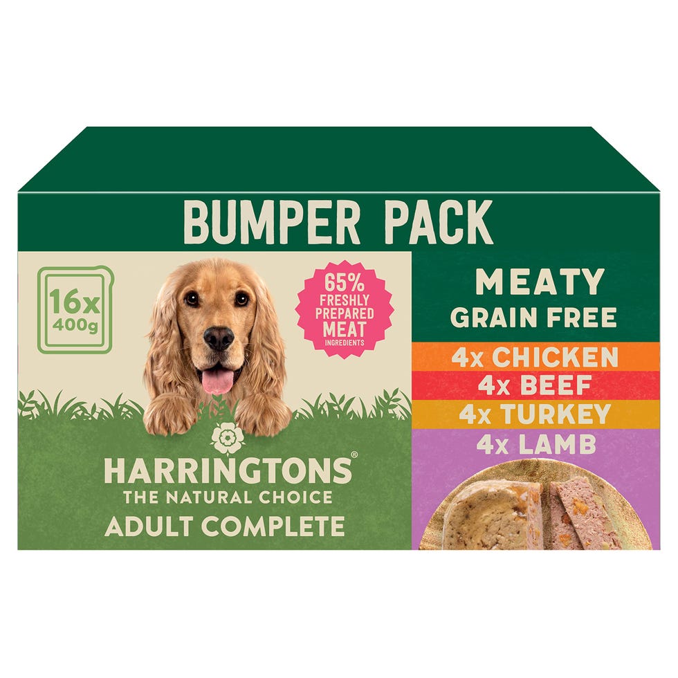 Harringtons bumper pack adult complete dog food (16 portions)