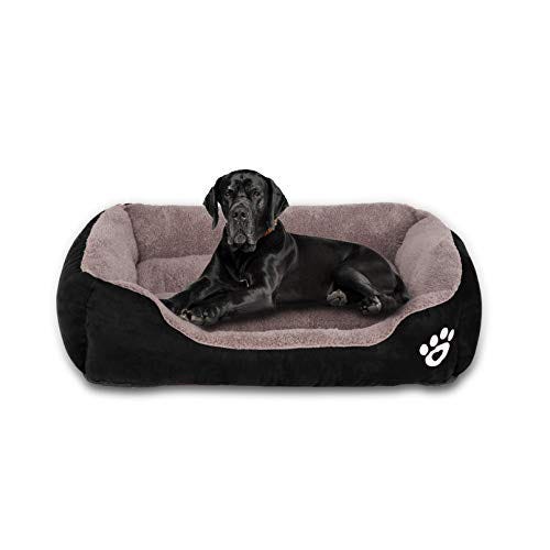 Dog Bed