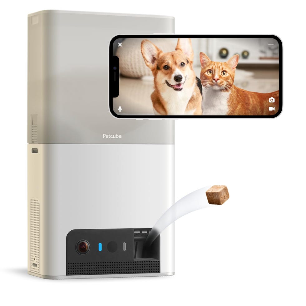 Petcube Bites 2 Lite interactive WiFi pet monitor