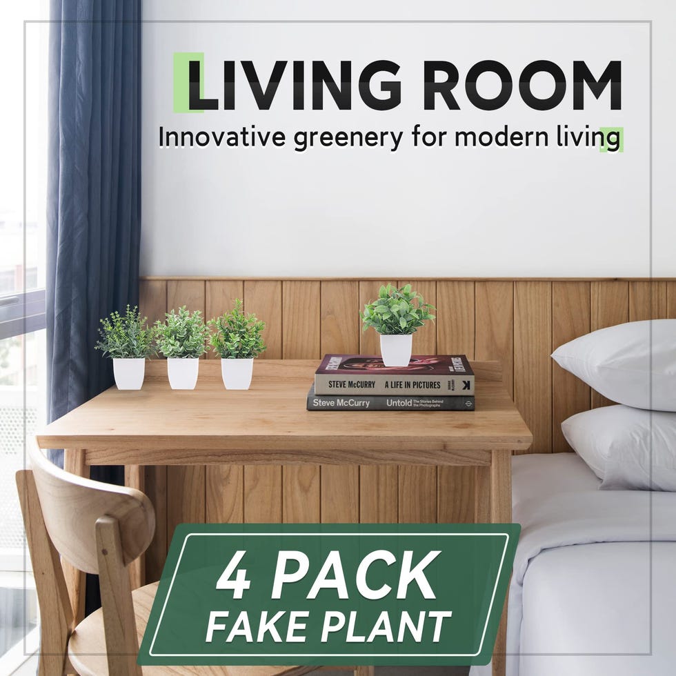 Fake Plant Set