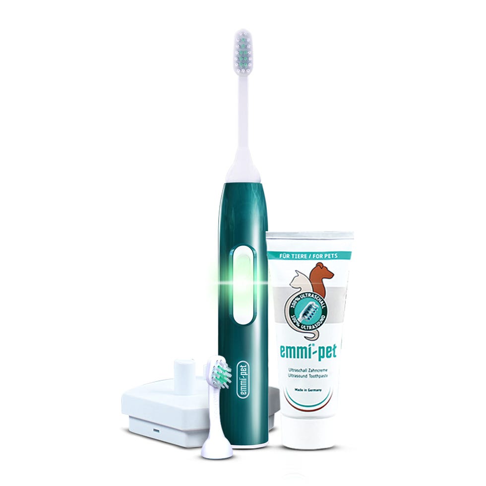 2.0 Dental Care Set for Dogs & Cats
