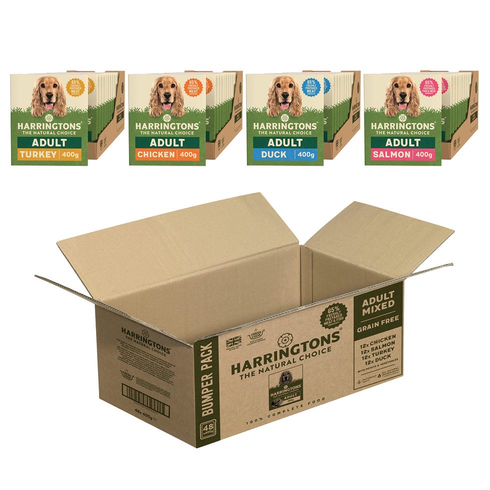 Harringtons wet dog food - super bumper pack (48x400g)