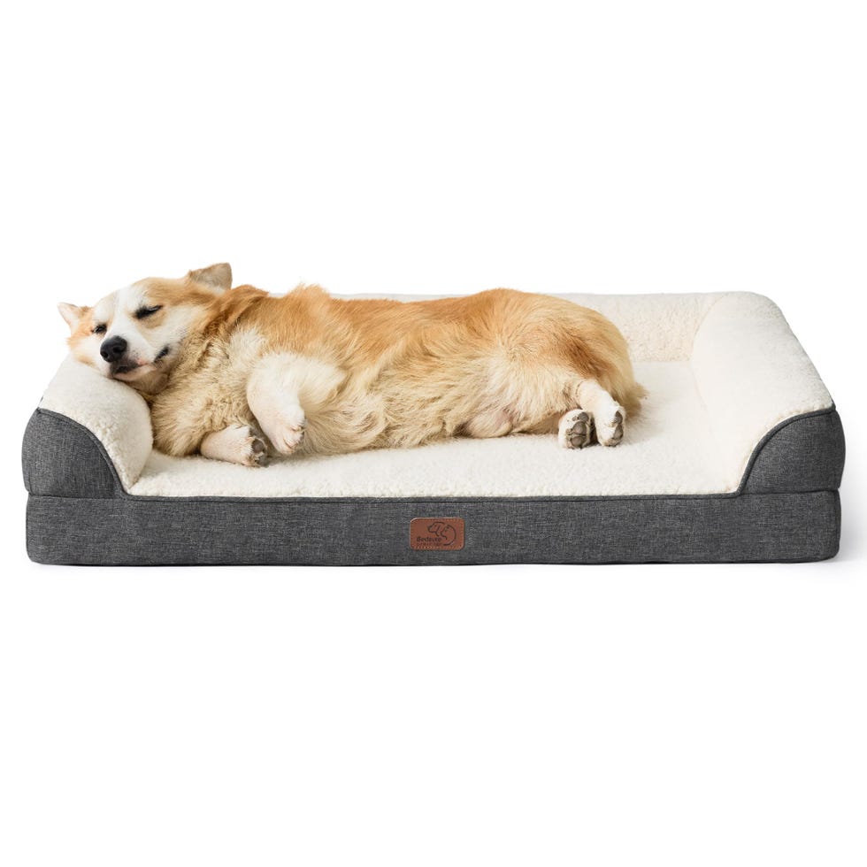 Memory Foam Dog Bed