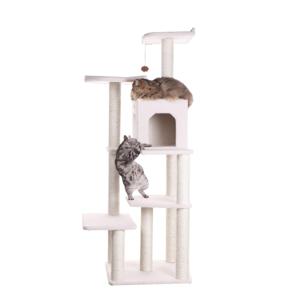 68-Inch Cat Tree