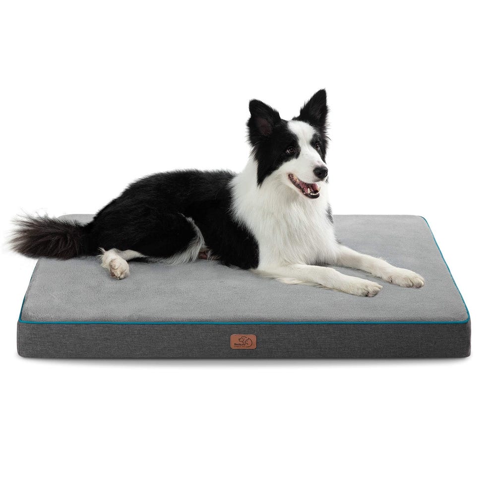 Memory Foam Dog Bed