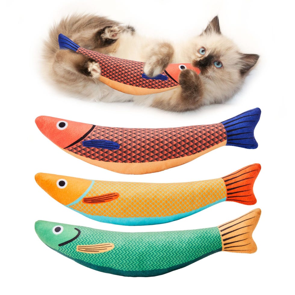 3-Pack Catnip Saury Fish