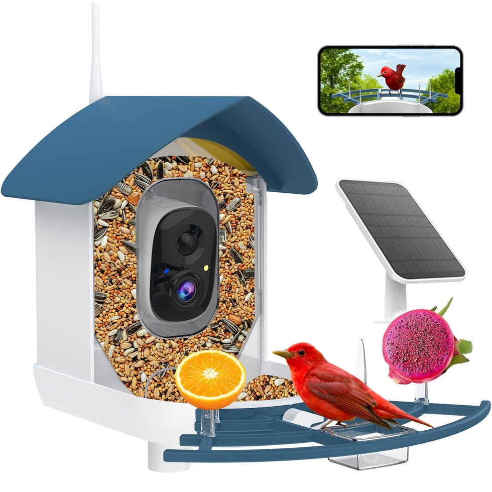 Bird Feeder with Camera 