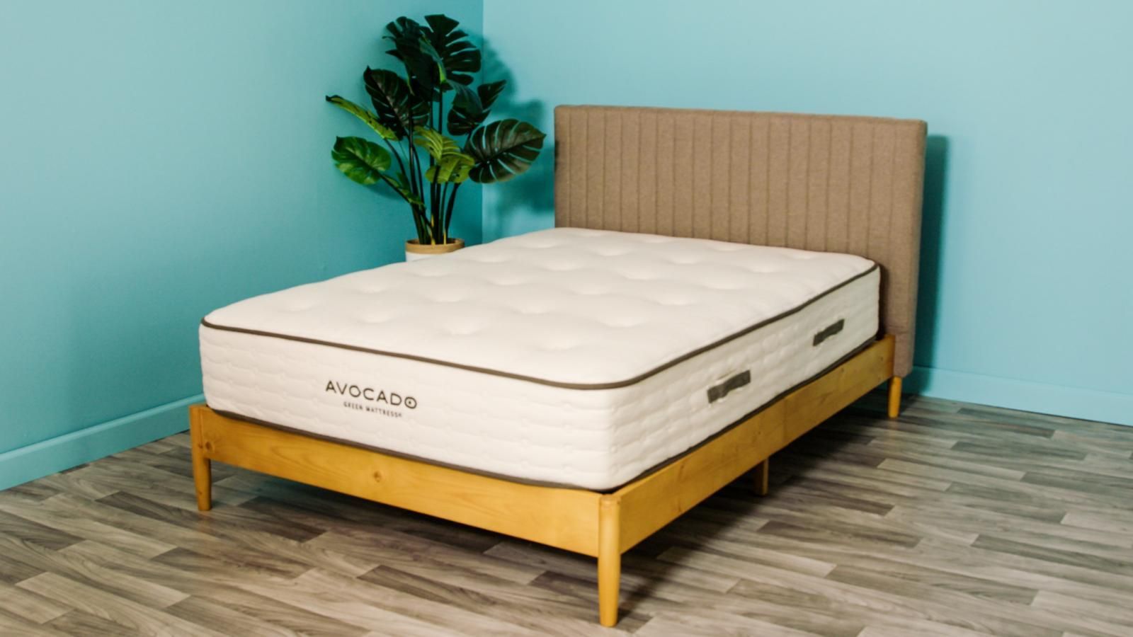 Best mattress and box springs hotsell