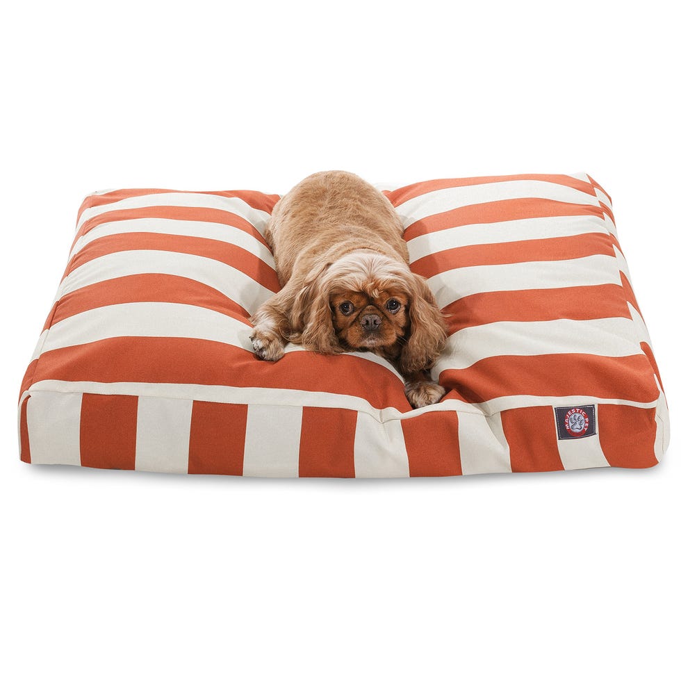 Striped dog bed