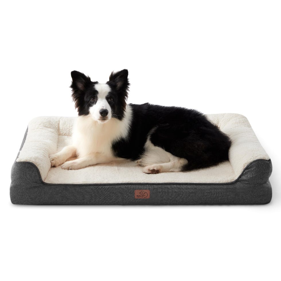 Memory Foam Dog Bed