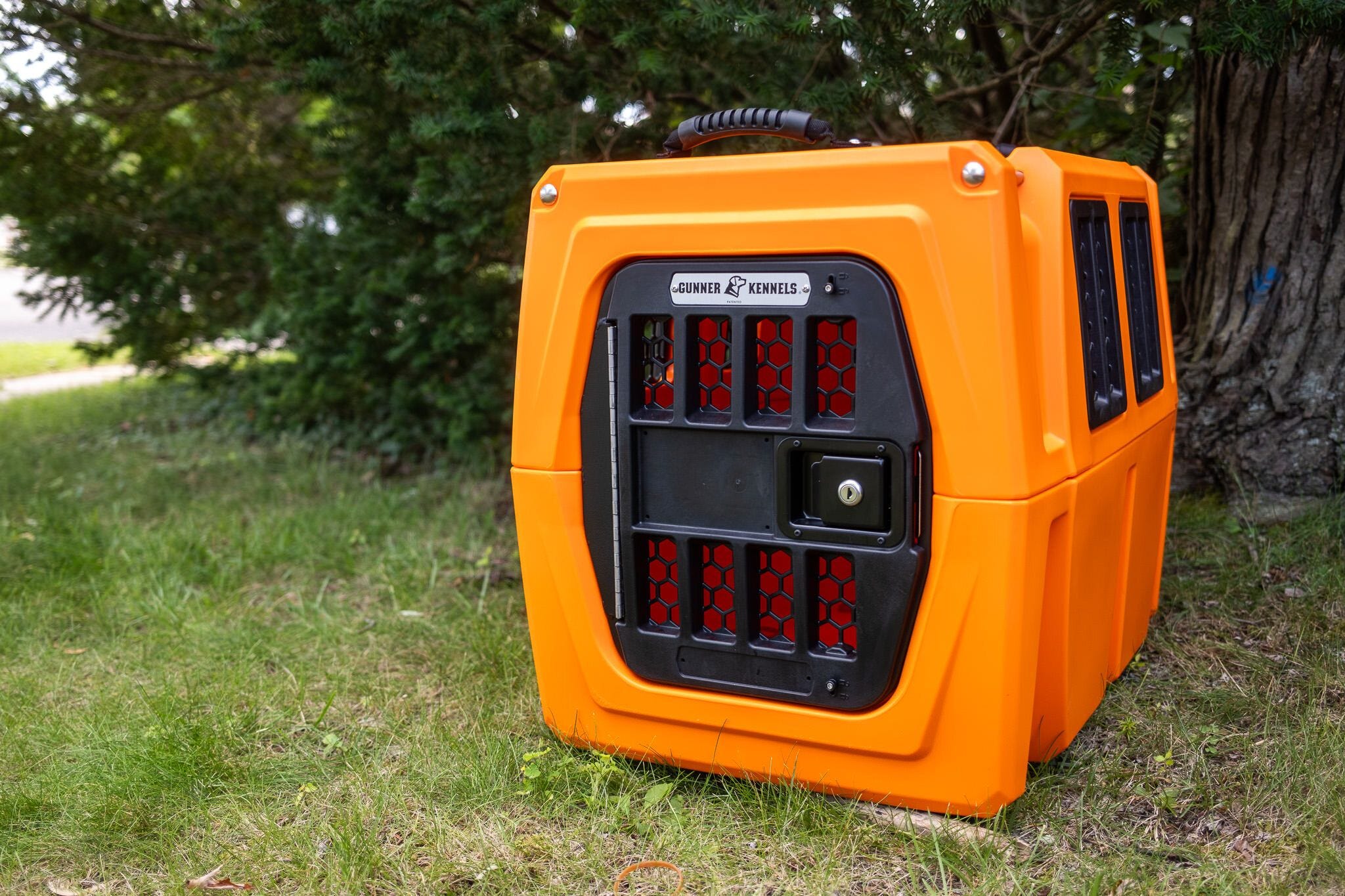 best-dog-car-barriers-and-dividers-for-pet-owners