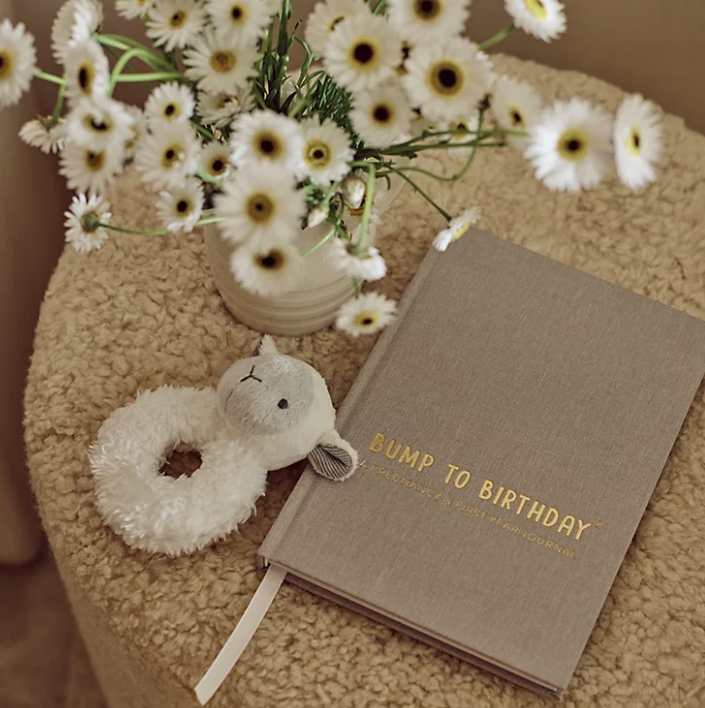 Bump to Birthday Book 
