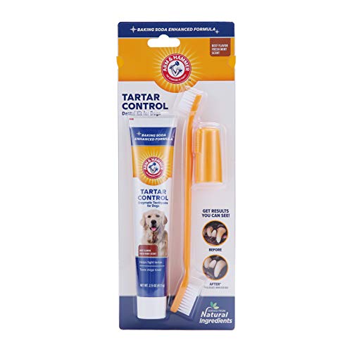 Pet Tartar Control Kit 