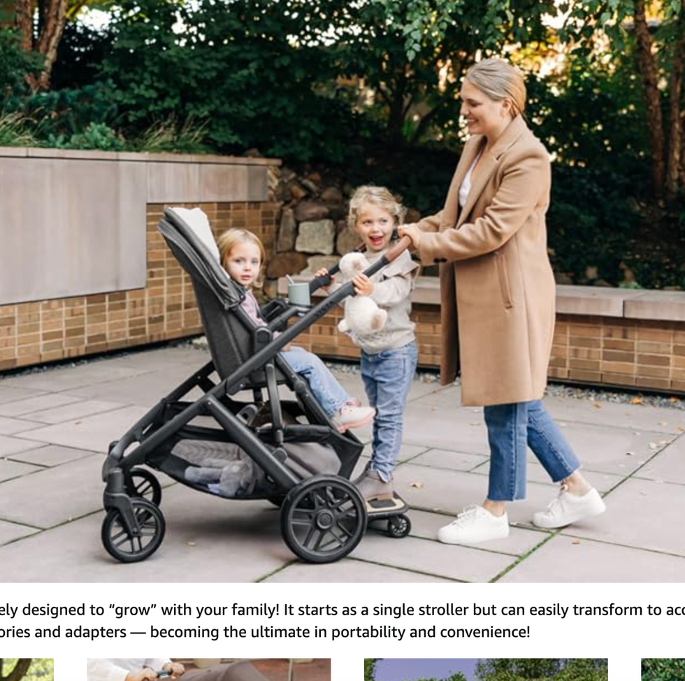 Vista V2 Stroller