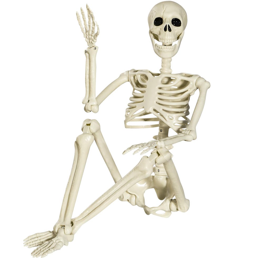 Halloween Skeleton Full Body Posable Joints