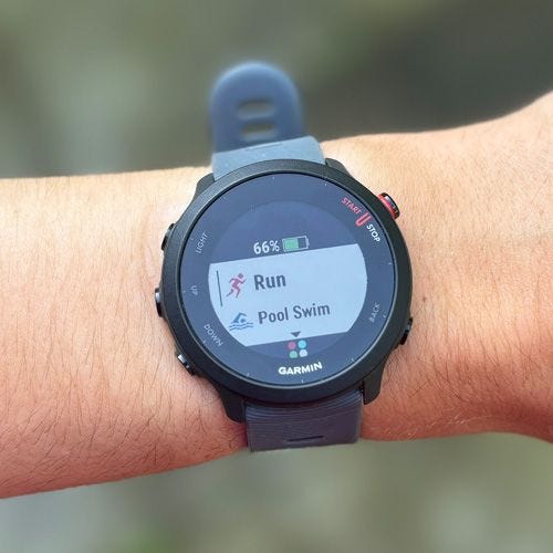 Garmin Forerunner 55