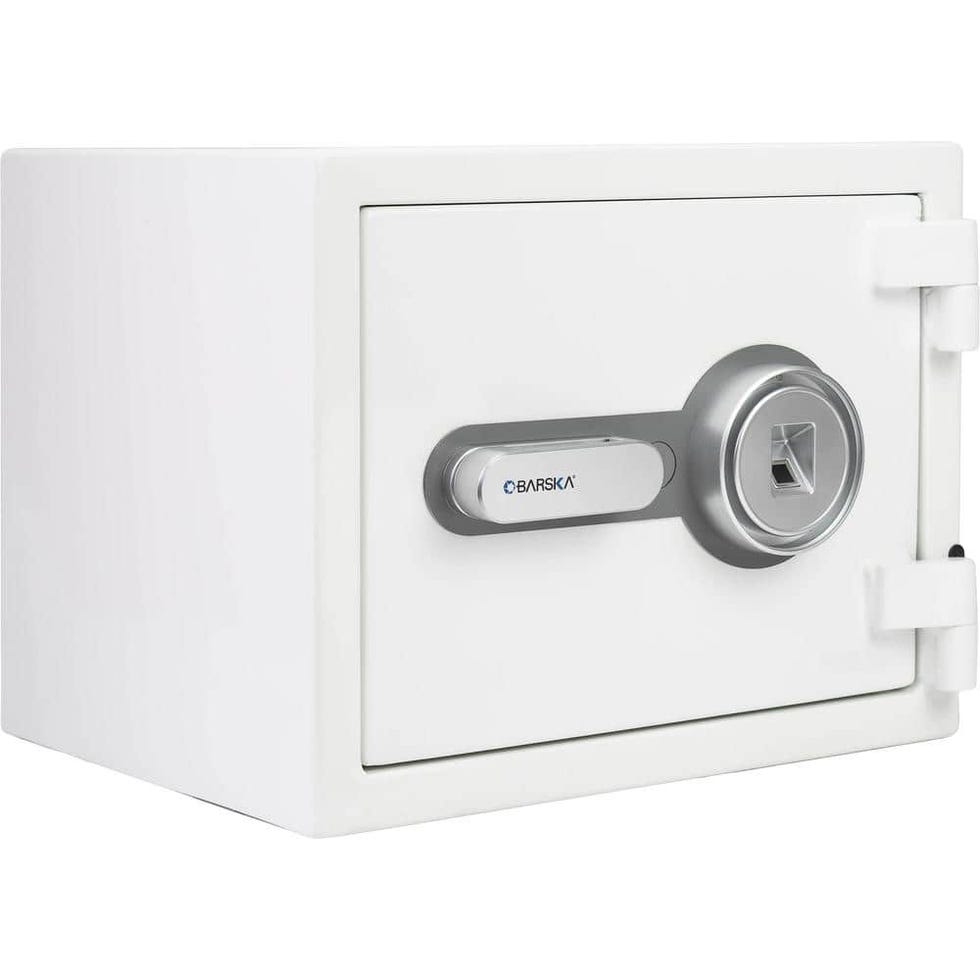 Biometric Fire-Resistant Security Safe