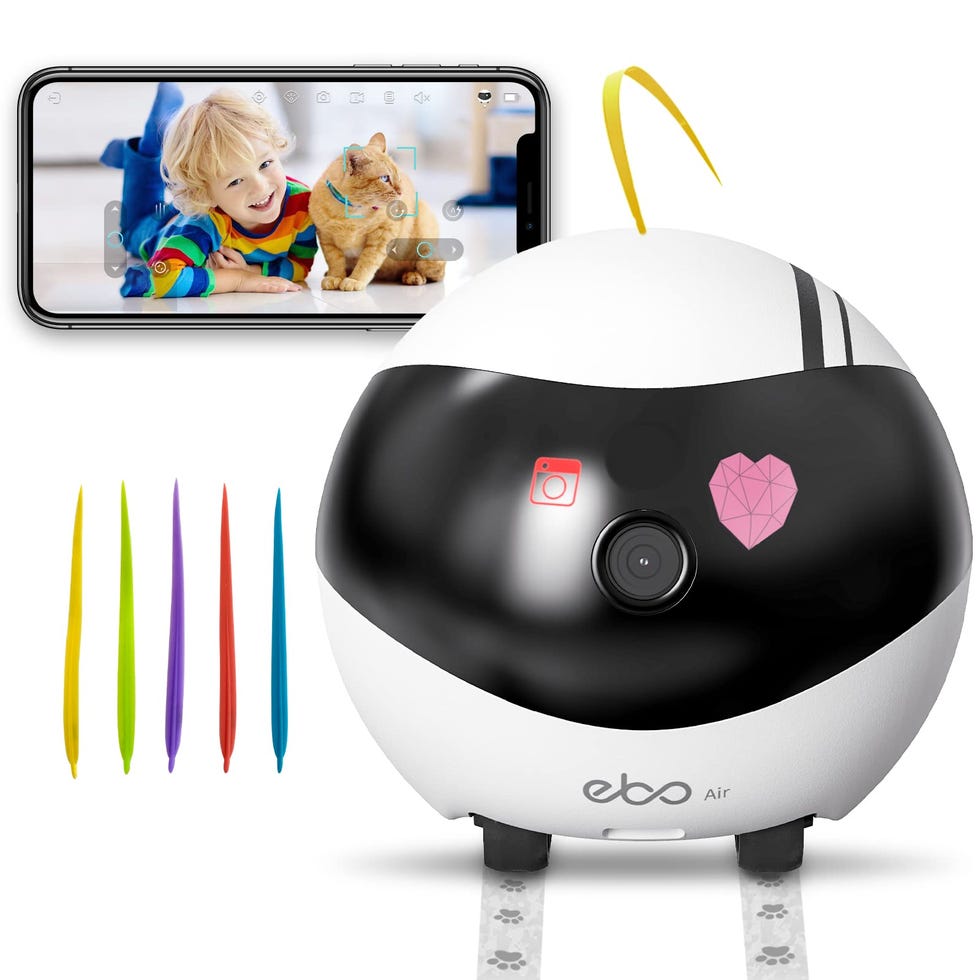 Air Home Security Pet Camera