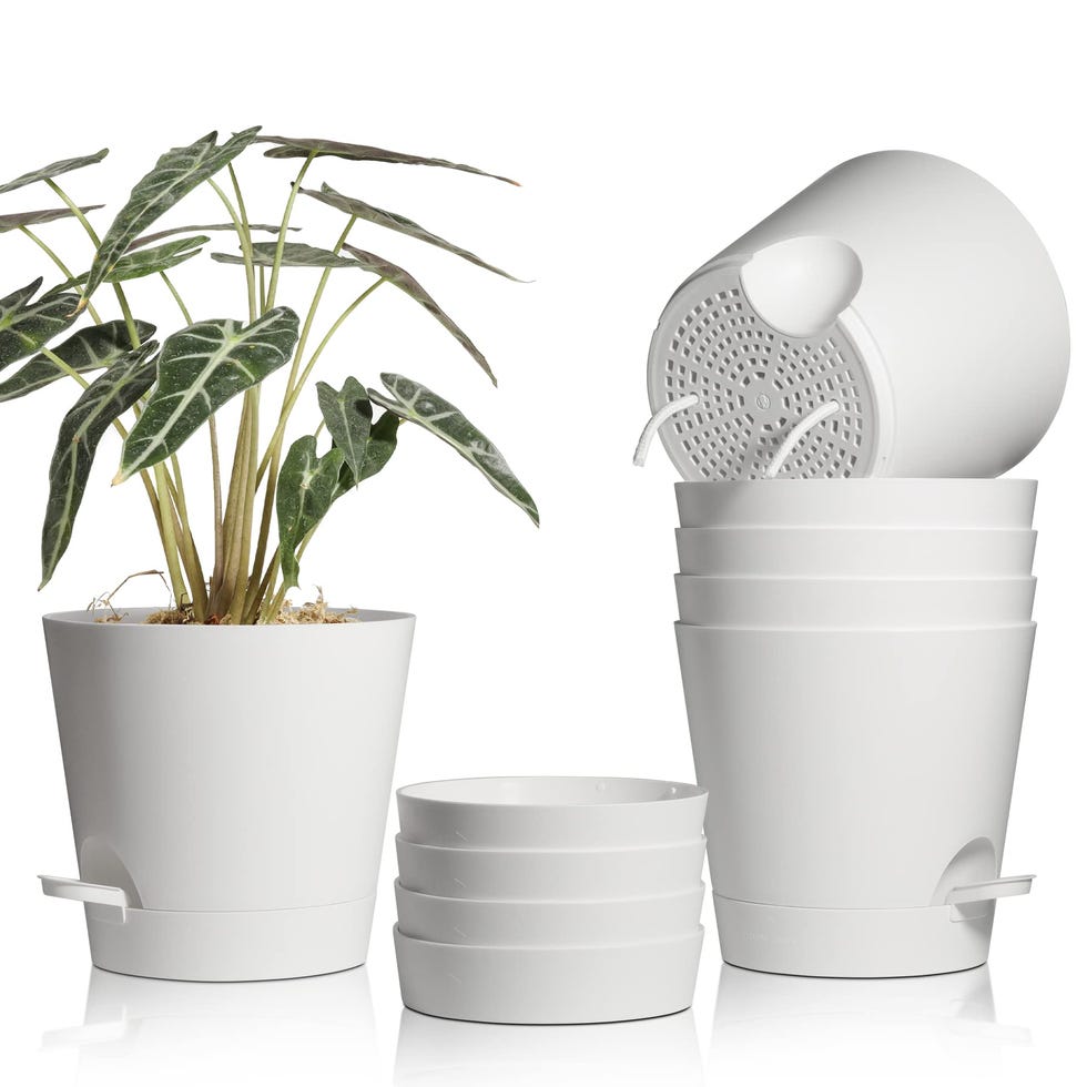 Maceteros decorativos con riego automático