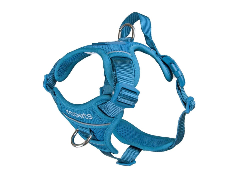 Momentum Dog Harness