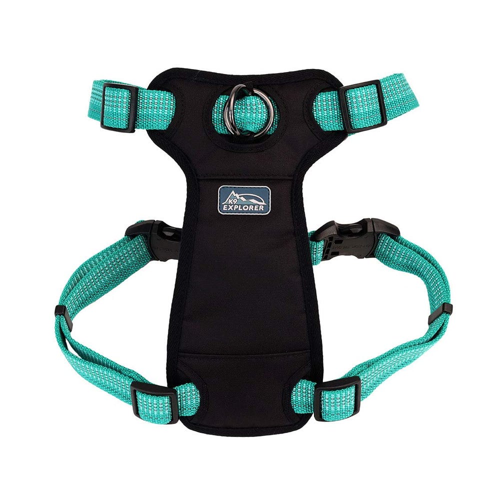 K9 Explorer Brights Reflective Front-Connect Harness