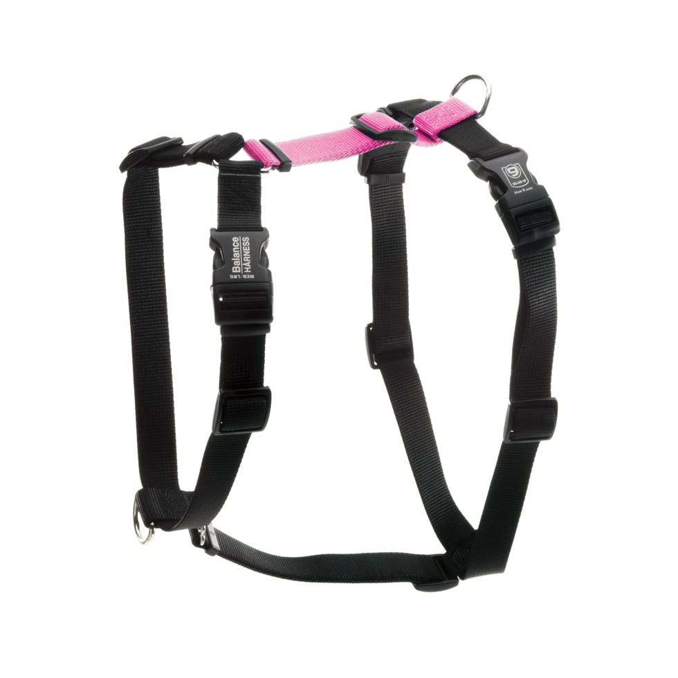 Balance Harness