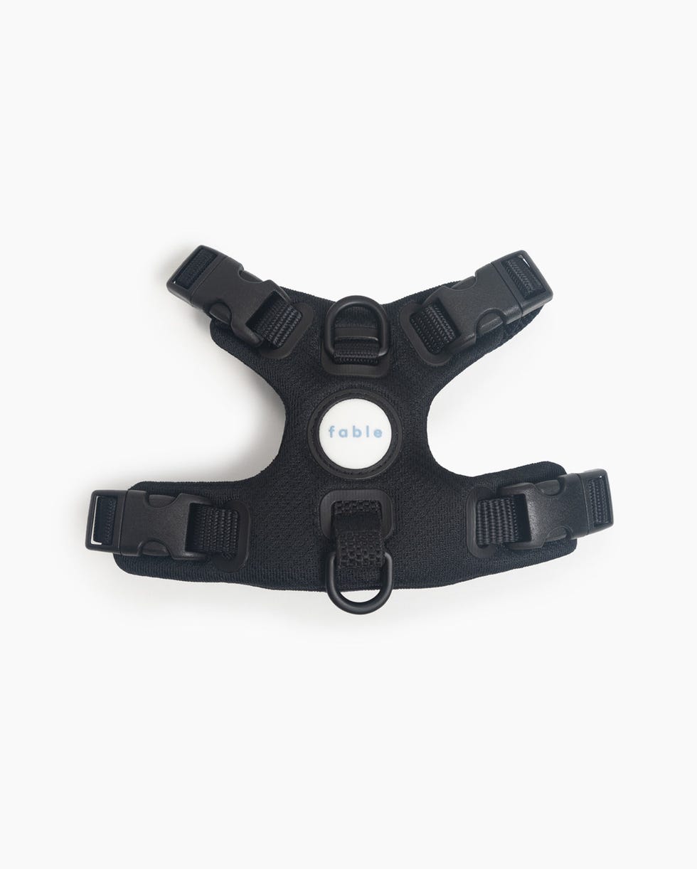 Signature Harness