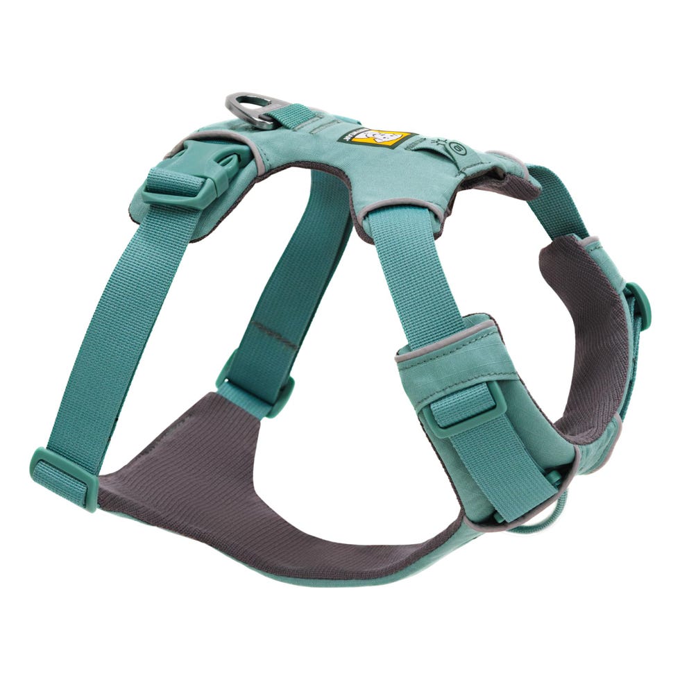 Front Range Dog Harness