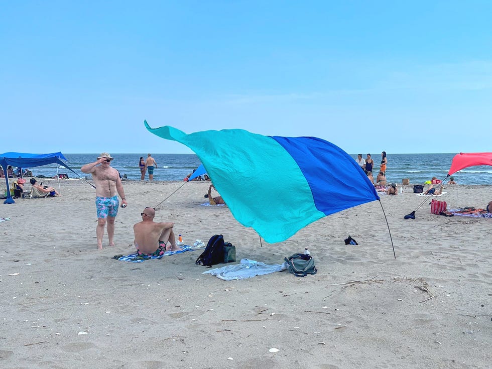 Wind-Powered Canopy