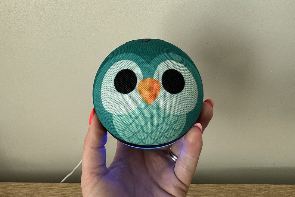 Amazon Echo Dot Kids