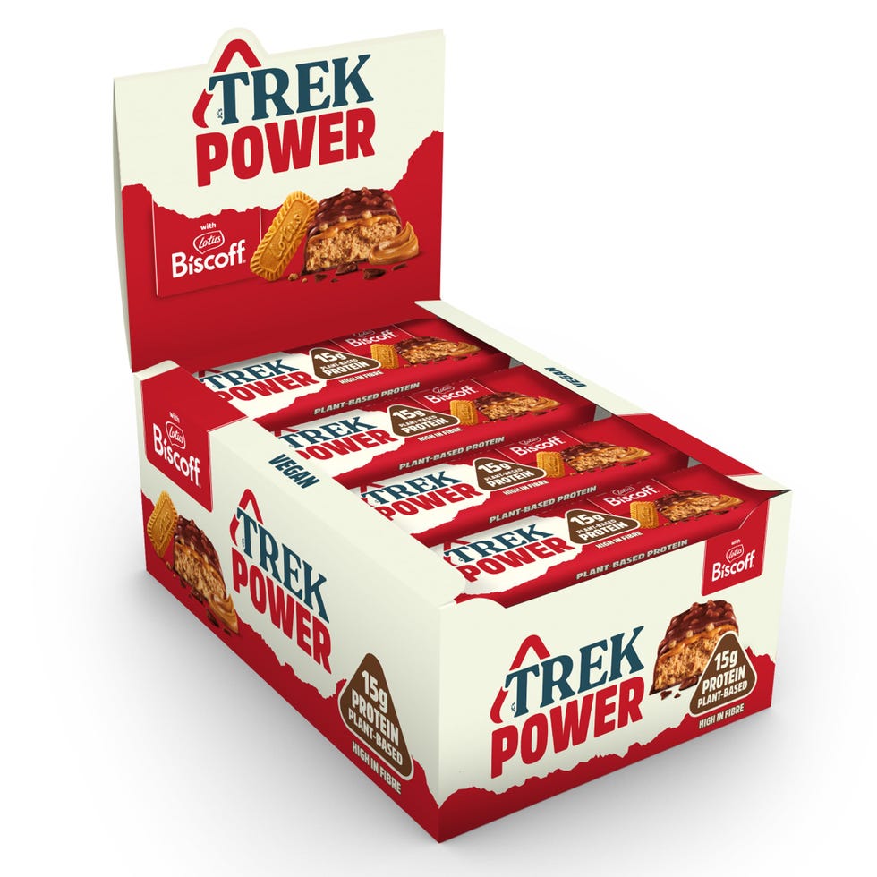 Biscoff Power Protein Bar 