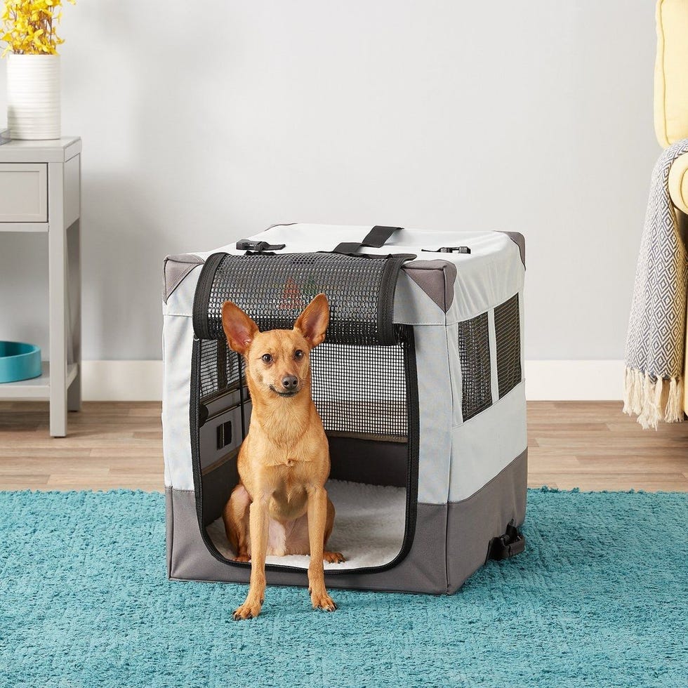 Collapsible Dog Crate