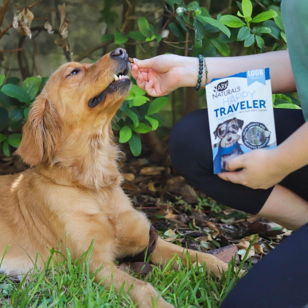 Dog Treats