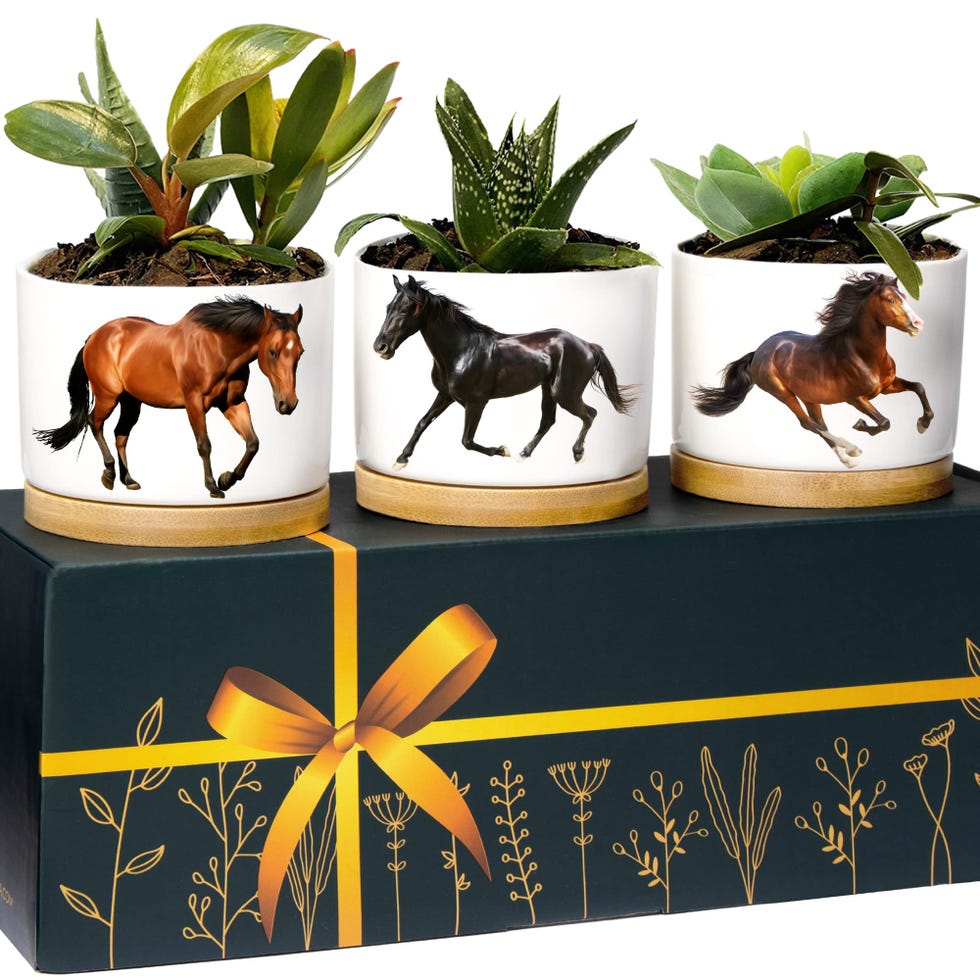 Planters for horses