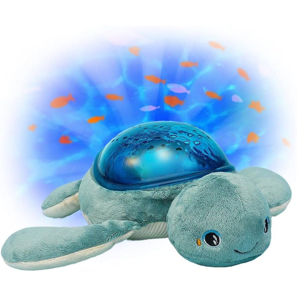 Turtle Aqua Dreams 