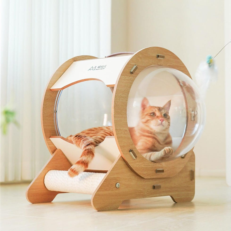 Cama para gato de madera con rascador de cuerda de sisal