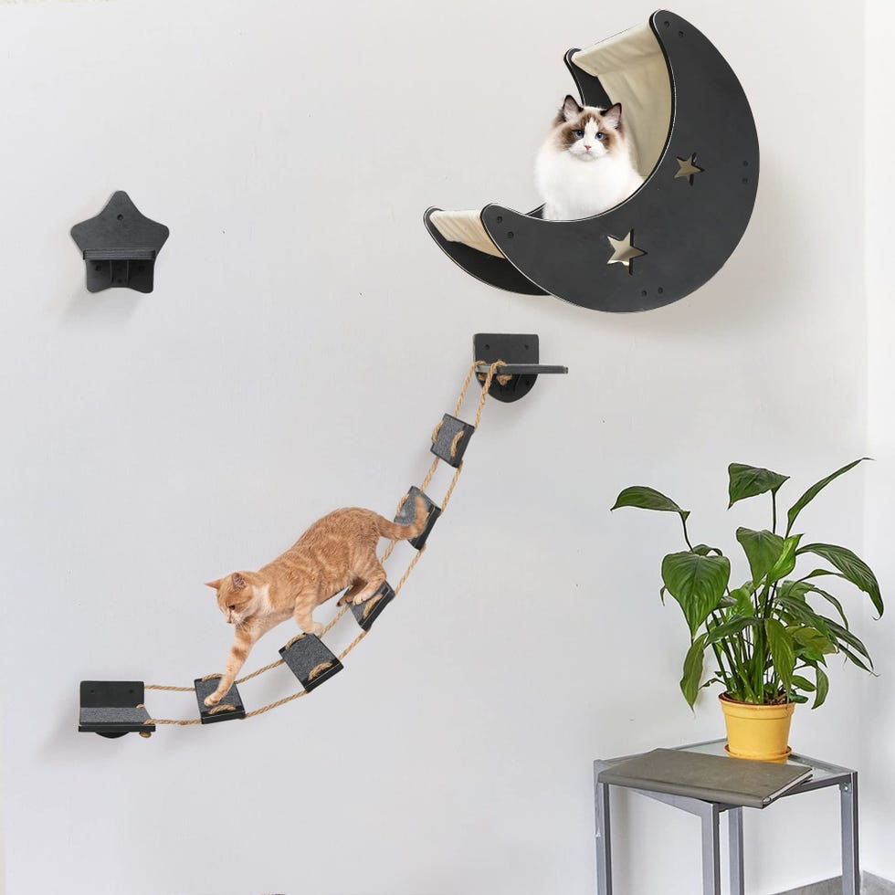 Cama para gatos de pared con puente de escalada