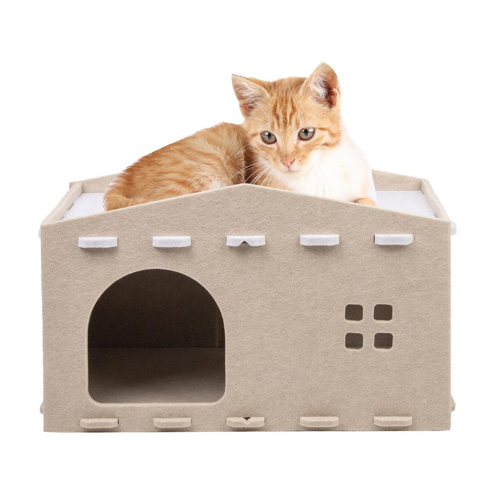 Cama doble para gatos con forma de casita