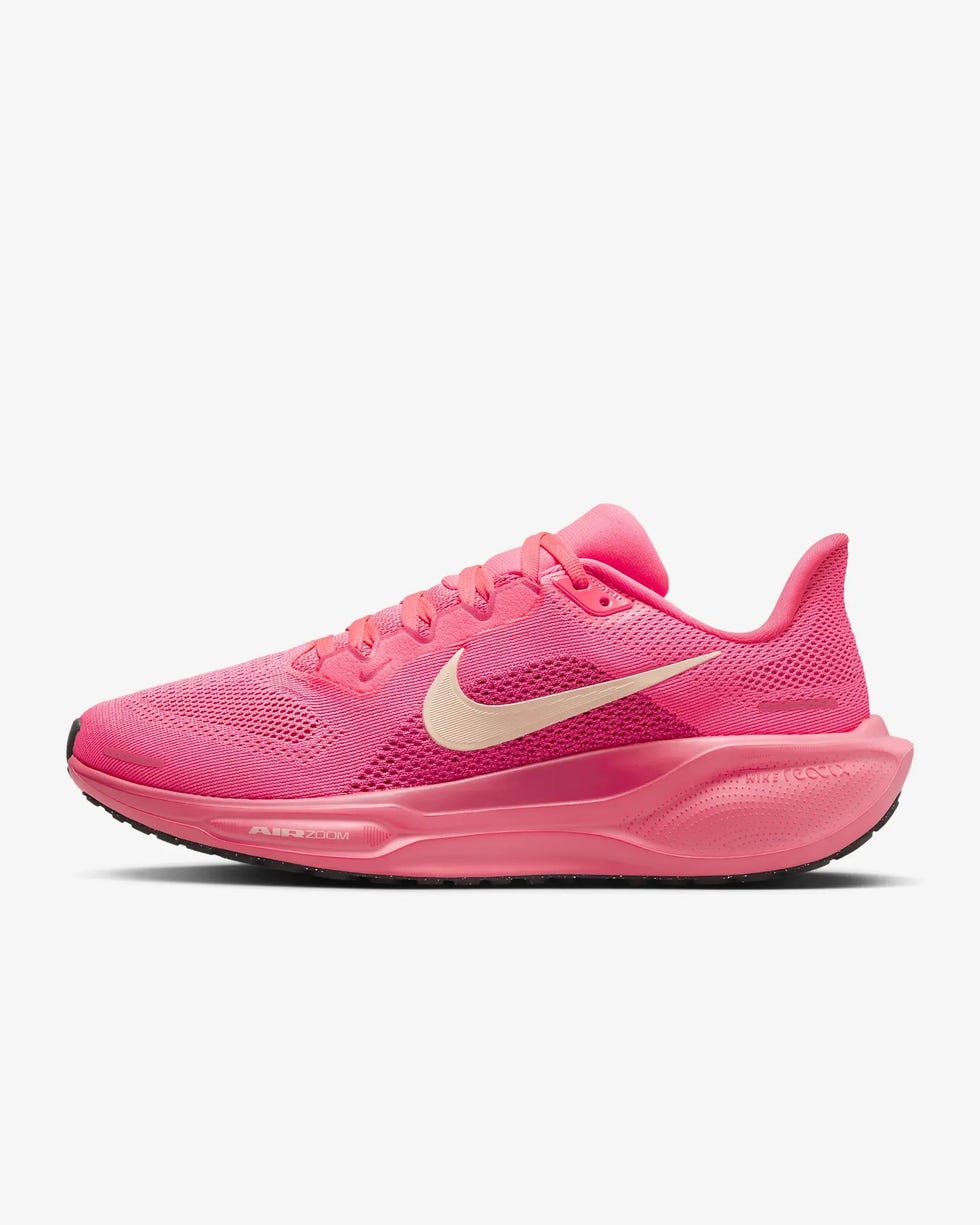 Pegasus 41