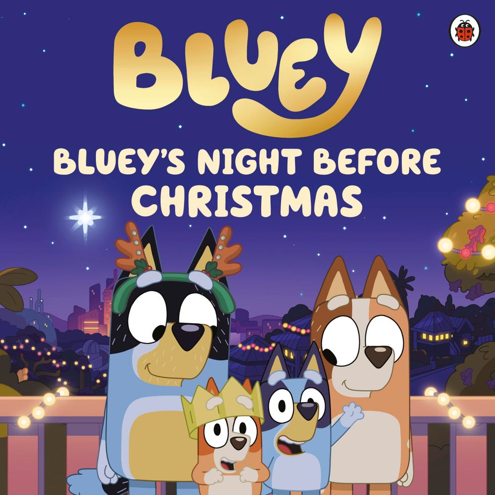 Bluey's Night Before Christmas Book