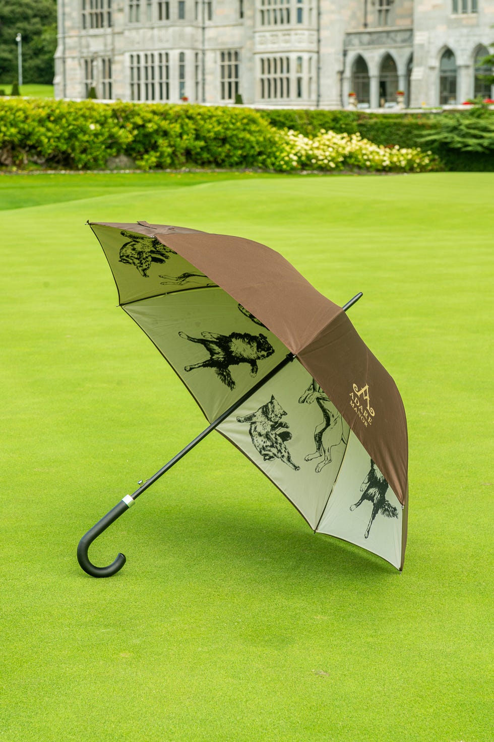 Adare Manor Cat and Dog Umbrella