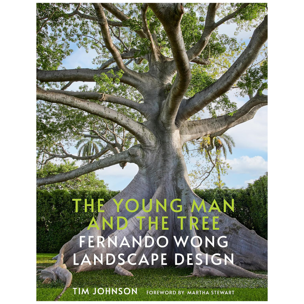 The Young Man and the Tree: Fernando Wong Landscape Design