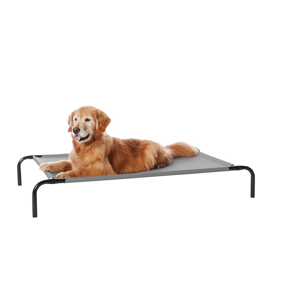 Cooling Elevated Pet Dog Bed