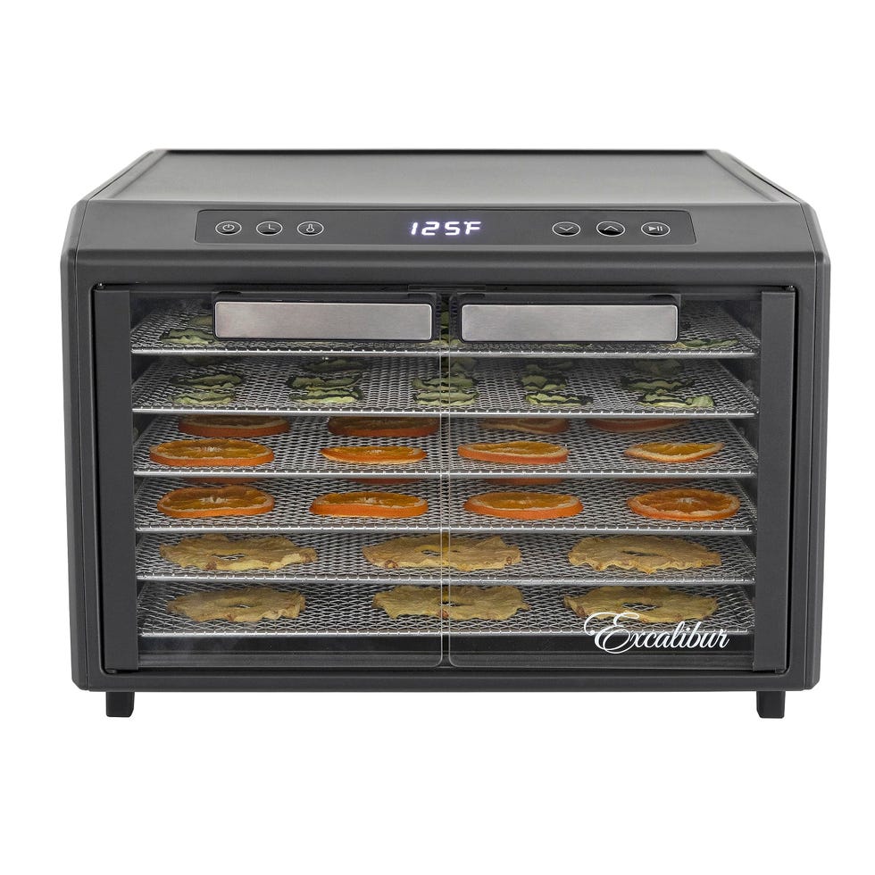 Electric Food Dehydrator